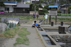 どれだよ