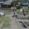 どれだよ