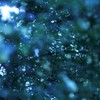 夜明け前
