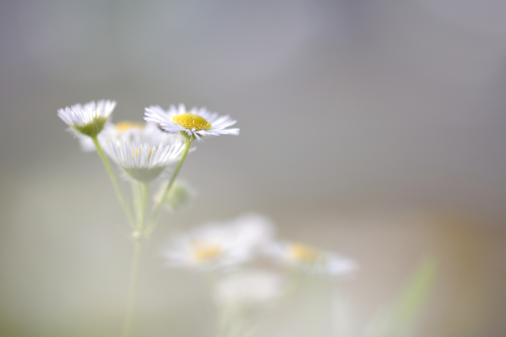 君の気持ちを聞かせて