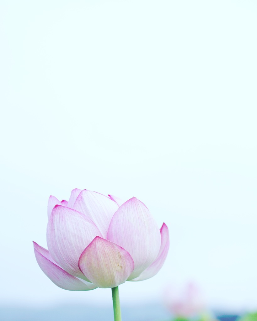 過ぎてゆく日々に。