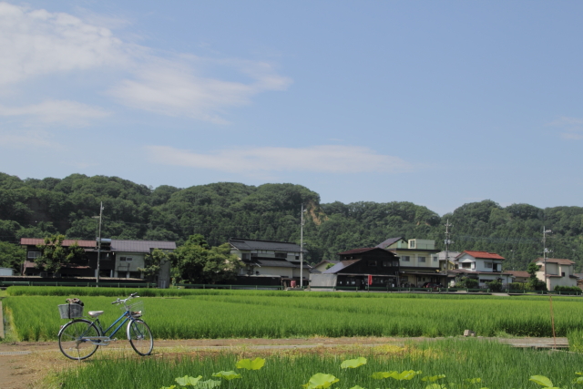 自転車でGO