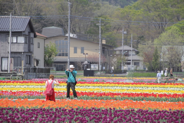 きれいに撮ってね