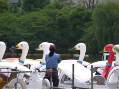いいか　わかったな