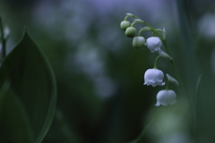 鈴の森。