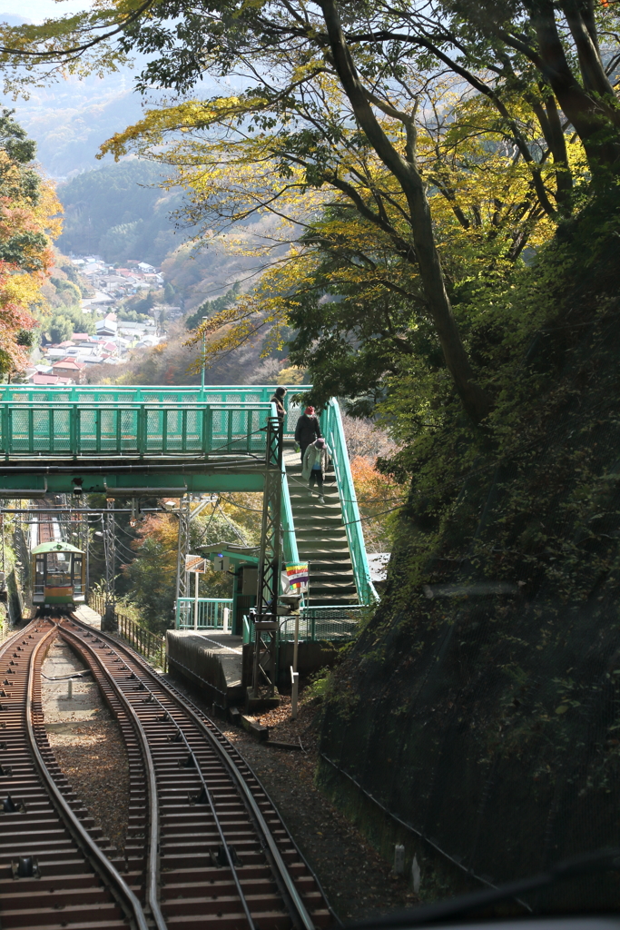 大山路を往く。