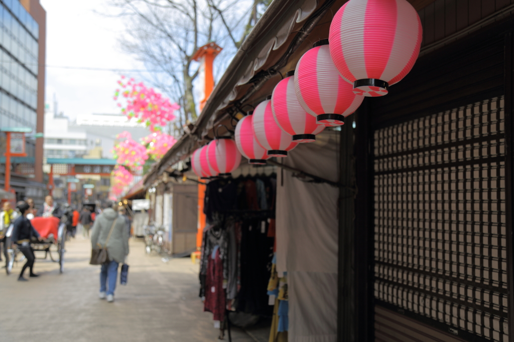 お祭りの支度中