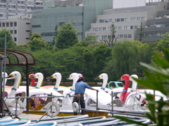 頼む