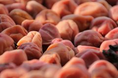 夏の贈り物