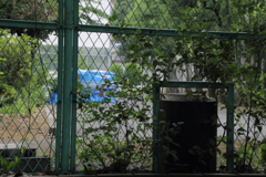 隠し金庫