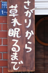 眠るまでやってますzzz