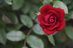 さよならとルージュで書いて