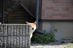 ん?