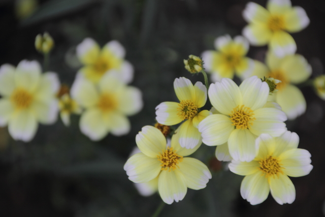 君がくれたもの