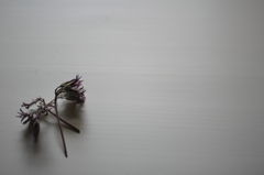 華
