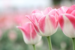 ヒロインになりたい。