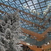 last　Xmas