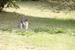 狙いを定めて