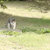 狙いを定めて