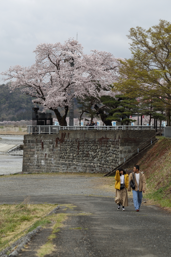 寒いね。