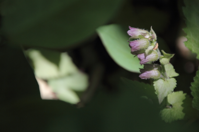 そっぽを向いて