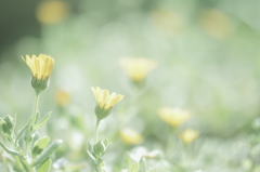 そよかぜにのって