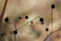 あっちこっちそっち