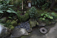 春を感じながら