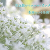 春風