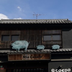 三匹の豚。