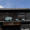 三匹の豚。