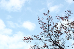 君よりわかりやすいのは空