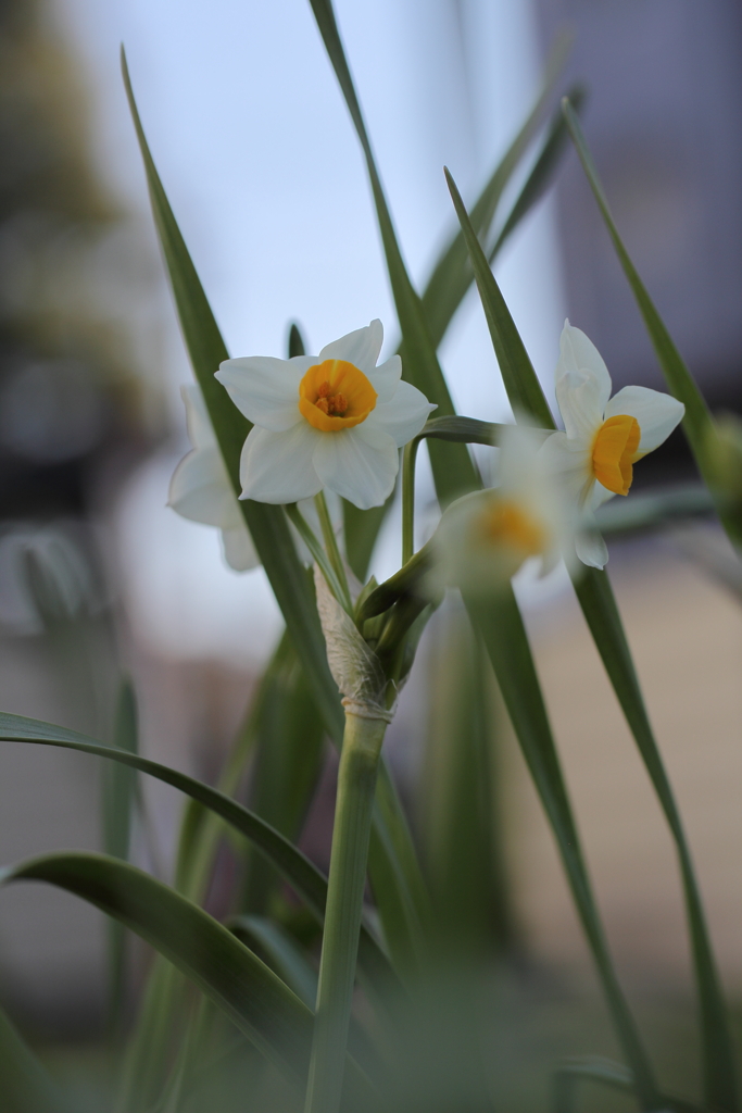 日々の暮らし。