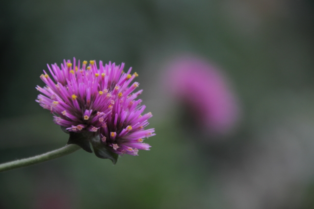 とんがっている君へ