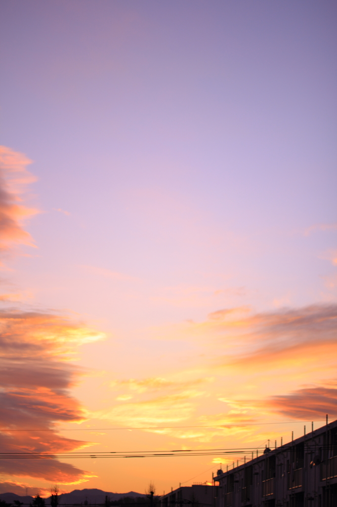 夕時