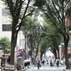 あなたのいない街で