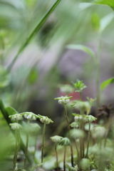 生まれます。