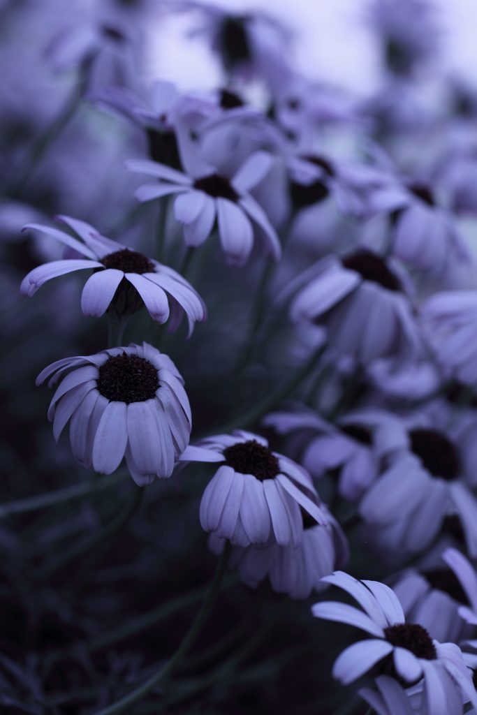 静けさの中に。