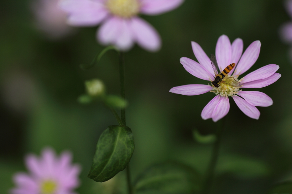 ランチタイム♪