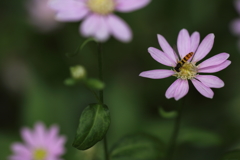 ランチタイム♪