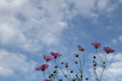空はあなたのために