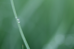 夏のことはじめ