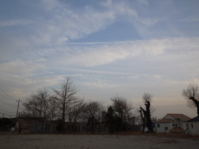 君と見上げた空