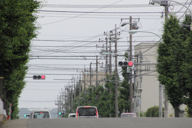 青まで待てない