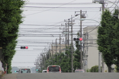 青まで待てない