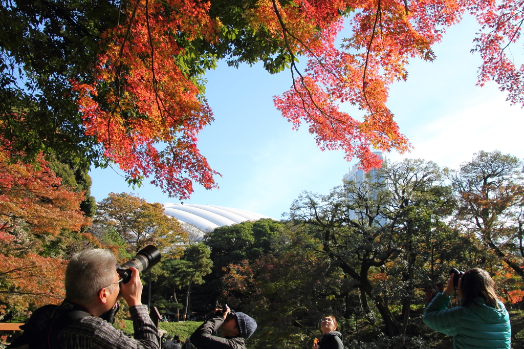 紅葉も人のにぎわい