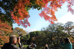 紅葉も人のにぎわい