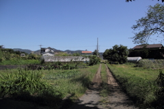 田舎道