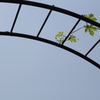 空の架け橋
