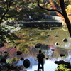 紅葉作戦決行